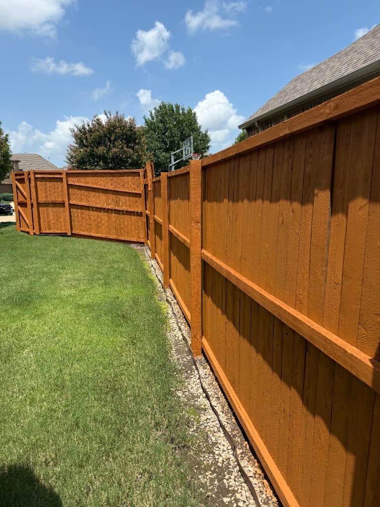 After fence staining - restored fence in Dallas